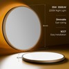 Lightania 15 Inch Flush Mount Ceiling Light with Remote Control