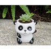 Cute Cartoon Animal Shaped Succulent Cactus Plant Pots-Plants Not Included