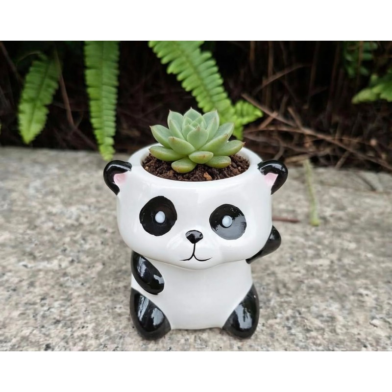 Cute Cartoon Animal Shaped Succulent Cactus Plant Pots-Plants Not Included