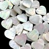 AlohaGemsUSA Silvery-White Nautilus Shell Beads with Superior-Grade Nacre (One of