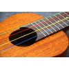 Aquila® Kids Multi-Colour Strings for Ukulele to Support Early Musical