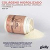 Colágeno Hidrolizado Gudly Ácido Hialurónico Biotina 500gr Sabor Sin Sabor