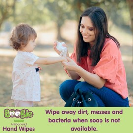 Boogie Boogie Antibacterial Hand Wipes, Alcohol Free, Hypoallergenic and Moisturizing Aloe, Hand Wipes for Kids and Adults, Single Packs, 30 Wipes (Pack of 3)