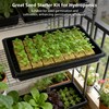 Aatacas Seed Starter Kit - 28 PCS 1.5 in Rockwool