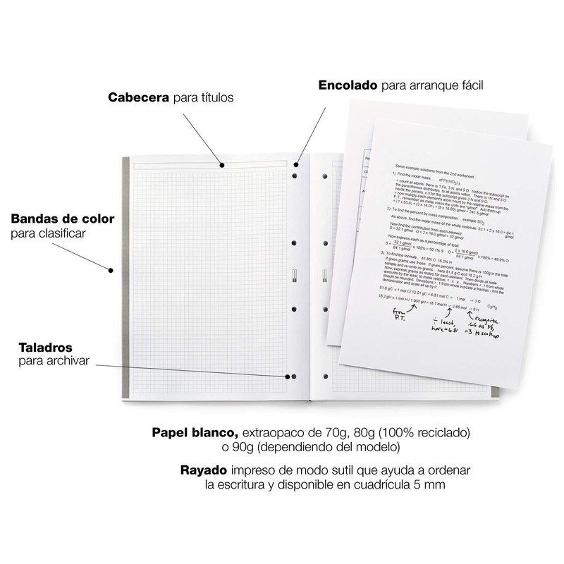 Miquelrius Pad A4 Emotions Marino 80 Sheets Squared