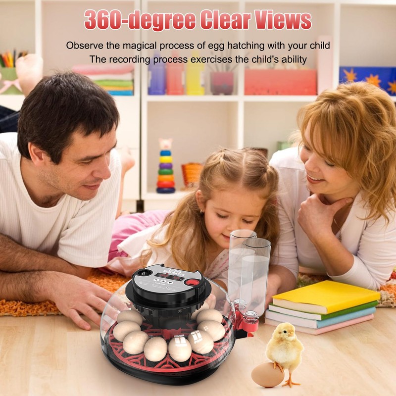 Khsp5d 12 Egg Incubator with Temperature Control, Humidity Display, Automatic