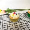 Huaswan Gold Foil Cupcake Liners Standard Paper Baking Cups for