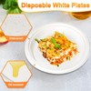 greensight Rigid Disposable Paper White Plates 100 Pack 7 inch