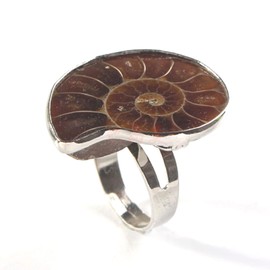 SHUIXIN Spiral-Natural Ammonite Shell Ring-Fossil Finger Ring-Pendant Ring Beach Joint Ring for Women Jewelry Gift Valentine's Day Fossil-Ring Women