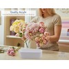 Royal Imports Flower Vase Acrylic Oval - Decorative Centerpiece for
