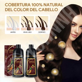Kaisasa 2 Pzs Shampoo Con Tinte Cubre Canas Matizador