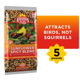 (5 pack)Sunflower Spicy Blend Wild Bird Food, Dry, 1 Count per Pack, 5 lb. Bag