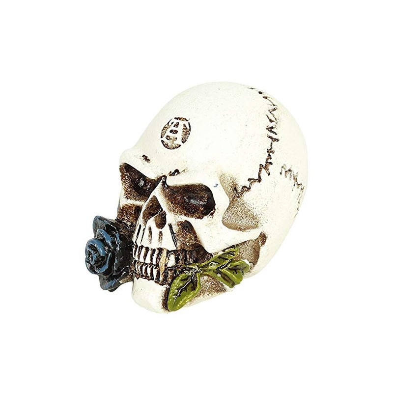 Alchemy England Alchemist Skull: Miniature Skull Unisex Skull Standard, resin,