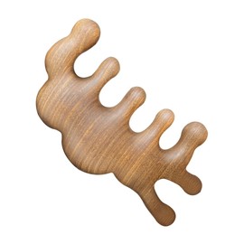 IWOWHERO Natural Scalp Massage Comb Acupoint Massager Tool Portable Static Hair Brush