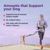 Nutri-Vet Pre & Probiotics for Dogs, Digestive Support, Upset Stomach,