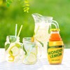 Wonder Lemon Organic Lemon Mint Cold Pressed Juice, 8.45oz (6