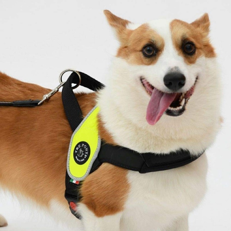 Tre Ponti Primo Primo Dog Harness Large Dog Made in