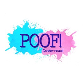 Gender Reveal Target Balls Skeet Shoot | 2 Pack Set | One Pink One Blue | Made of Durable Clay