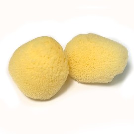 Natural Sea Cotton Sponge, Large, Approx. 2.0 - 2.4 inches (5 - 6 cm), Silk Seeds, Fluffy, Absorbent, Facial Cleansing, Sheath Sponge, Soft, Fine Texture and Gentle Touch (Set of 2)