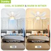 DAMINY 30 Inch White and Gold 5 Blade Ceiling Fan