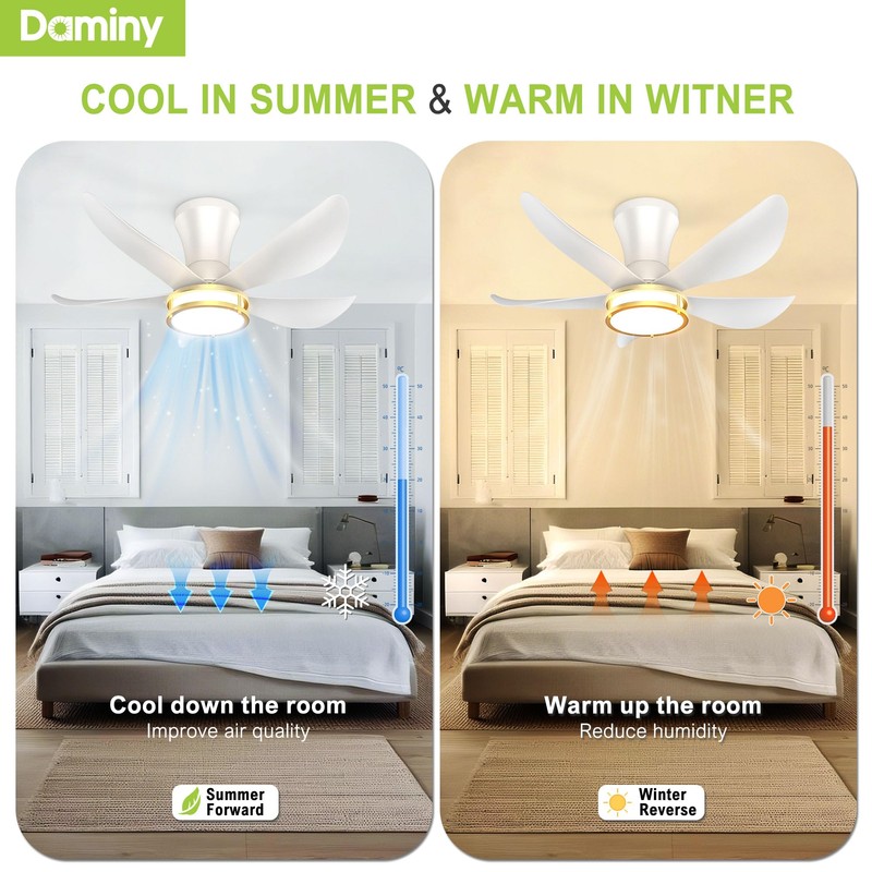 DAMINY 30 Inch White and Gold 5 Blade Ceiling Fan