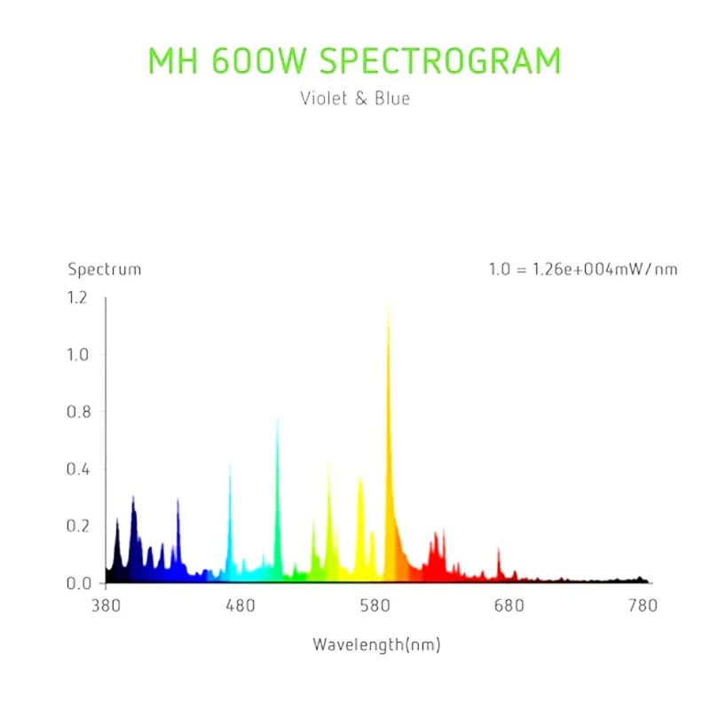 EverGrow 600W MH Metal Halide Grow Light Lamp Indoor Hydroponics