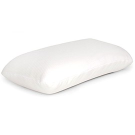 Feel Like Home Sports Travel Pillow (25405SRK)