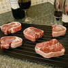 9.06×6.50‑Inch Defrosting Tray,Non‑Stick Thaw Board for Small‑Portion Food