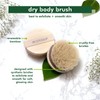 EcoTools Ecotools Dry Brush