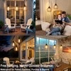 Hanging Pendant Lights, Battery Operated Outdoor Chandelier with Warm White