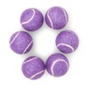 PRICE Pastel Colours Tennis Balls(6 x Purple)
