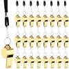 24 Pcs Stainless Steel Whistle, Sports Whistle with Lanyard, Extra