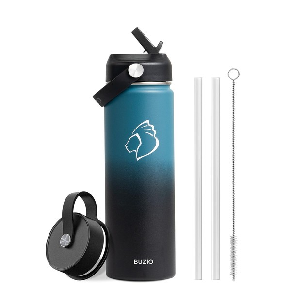 Insulated Water Bottle, BUZIO Stainless Steel Water Bottle with Straw