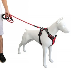 Bossdog No Pull Dog Harness and Lead Set | Anti Pull Dog Harness No Pull For Small, Medium, Large and Puppy Dogs | Features Sturdy Top Handle and Reflective Strips (Extra Large, Red)