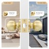 Leydebong 10 Pack Keyed Alike Door Knobs, Gold Door Knobs