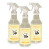 Steve's Cleaners Plant-Based Multi-Surface Cleaner – Streak & Residue-Free All-Purpose
