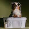 Koala Eco Natural Dog Wash, 500ml