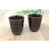 Castle Enterprise Mino Ware Japanese Cafe Series Manyo Tea Cup