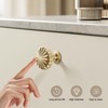 FAPUAL 6 Pack Gold Cabinet Knobs for Kitchen Cabinets and