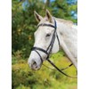 Shires Avignon Louisville Bridle - Black (Cob)