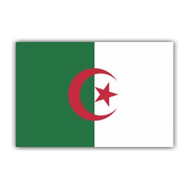 Womaha 30 Sheets Algeria Flag Temporary Tattoos World Cup European Cup Asian Cup African Cup Football Face Fattoo for Adults and Kids…