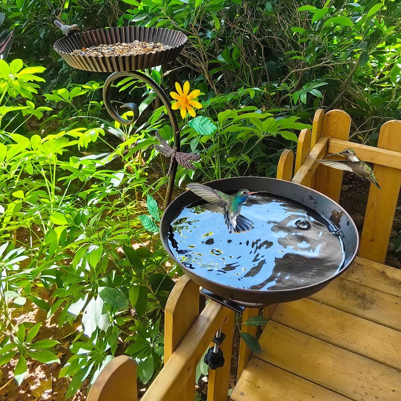 Deck Bird Bath and Feeder, Detachable Metal Bird Baths for