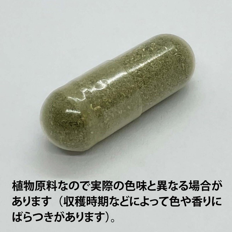 Extric Nettle ec034 Eco Pack 300 mg x 180 capsules