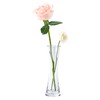 ComSaf Vase Unbreakable, Stylish, Flower Base, Polycarbonate, Transparent, Hydroponic, Interior