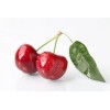 Lenier Tea 2 Tins Cherry Vanilla Biodegradable Nylon Tea Bags
