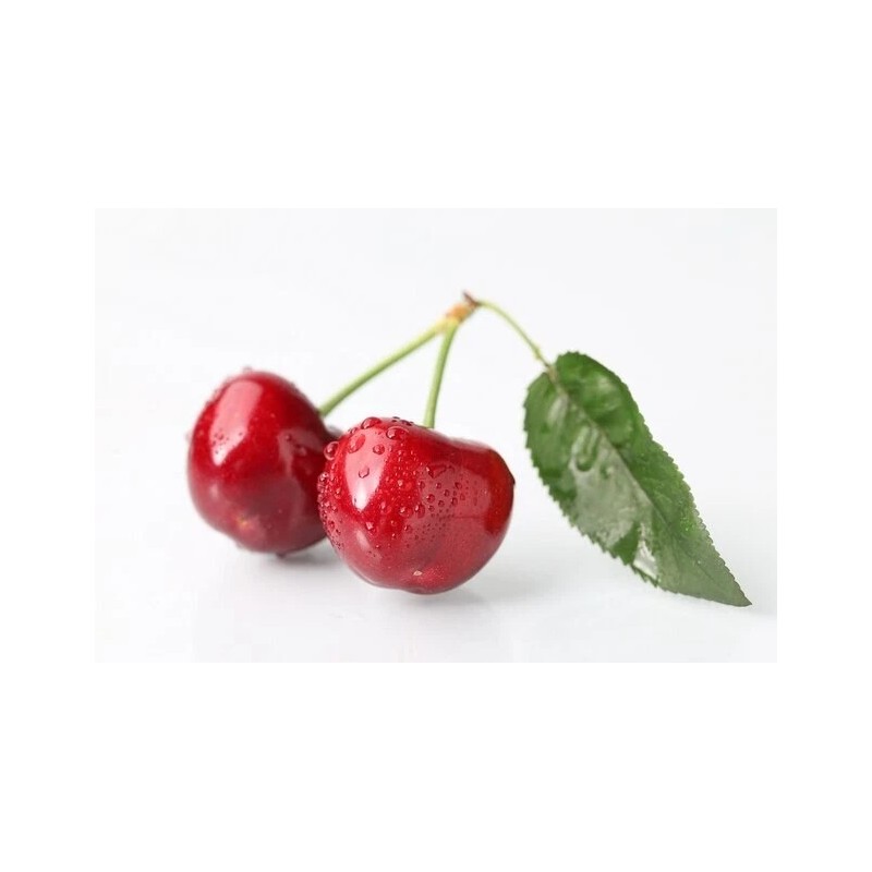 Lenier Tea 2 Tins Cherry Vanilla Biodegradable Nylon Tea Bags