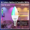 FTL E12 LED Color Changing Candelabra Light Bulb with Remote