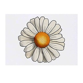 Azeeda 'Gänseblümchen' Temporäres Tattoo - Hautfreundlicher & Ungiftiger Abziehbild · Wasserfest (TO00044368)