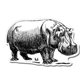 GT Graphics Hippo Hand Drawn - Vinyl Sticker Waterproof Decal