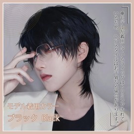 FESHFEN Wig, Men's Wig, Wolf, Black Hair, Full Wig, Wolf Cut, Men's Clothing, Black, Short, Handsome, Everyday Use, Loose and Fluffy, Fashion, Handsome, Natural, Unisex, Heat Resistant, Popular,